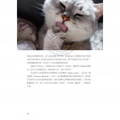 猫咪学问大：人类最想问的80个喵什么