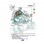 肌肉健美训练图解（最新版）