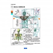 肌肉健美训练图解（最新版）